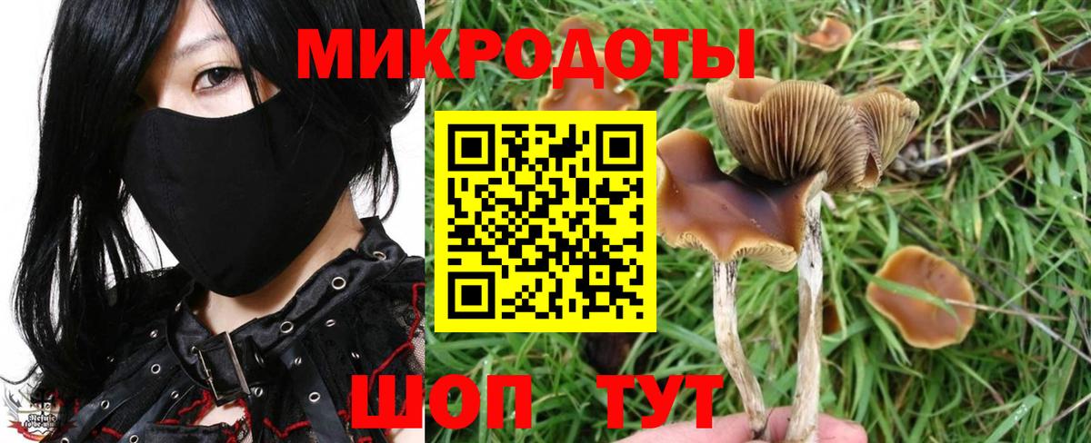 Псилоцибиновые грибы MAGIC MUSHROOMS Чебаркуль